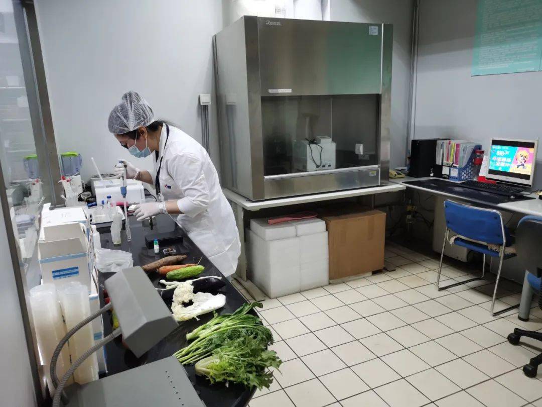 张港镇食品检测实验室装修方案